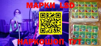 индика Заволжье