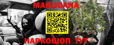 индика Заволжье